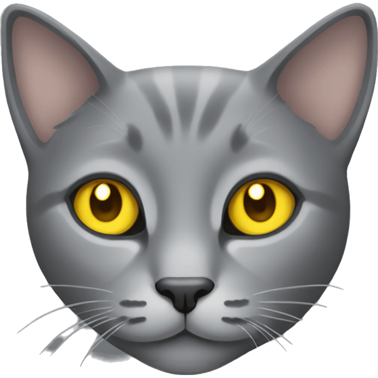 Grey cat with yellow eyes  emoji