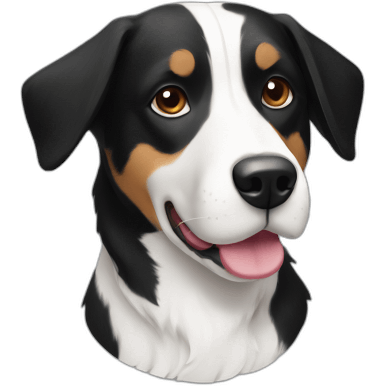 Short hair border collie beagle mix, black and white emoji