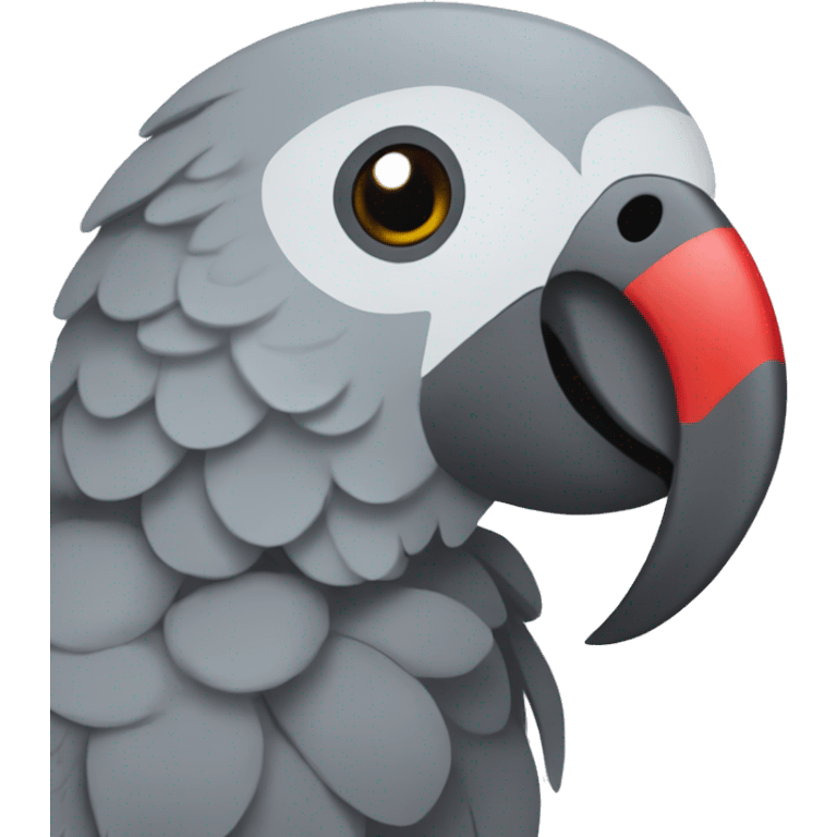 African grey parrot with red feather on his tail and not on his head with dark grey beak emoji