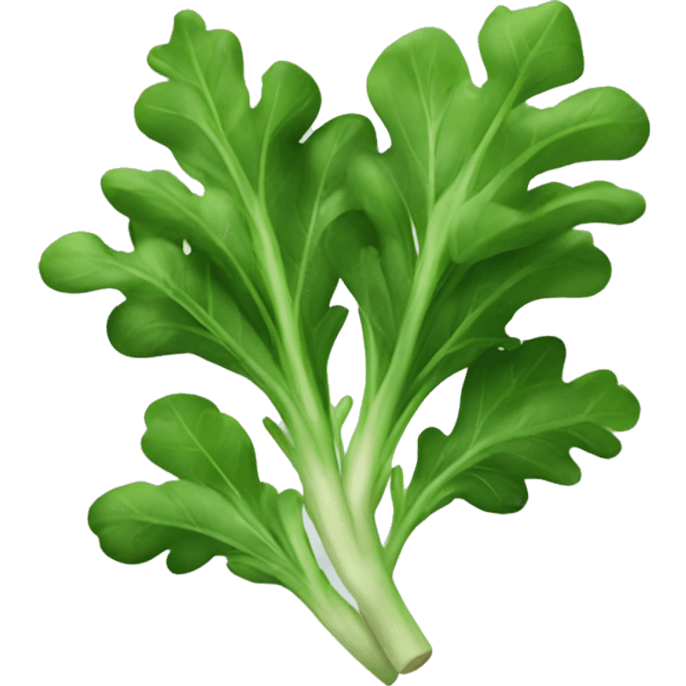 arugula emoji