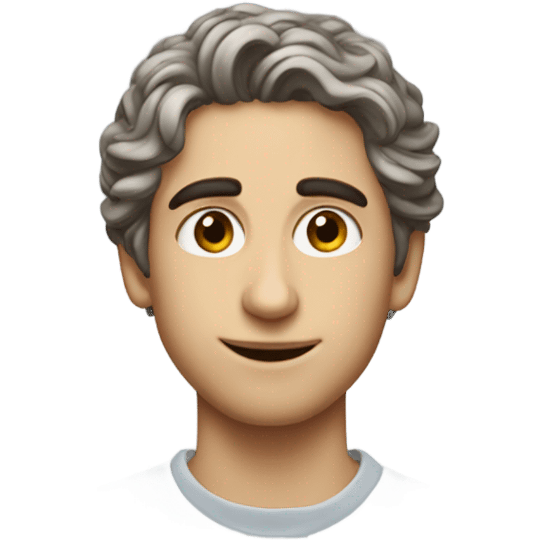 Timothee chalemet  emoji