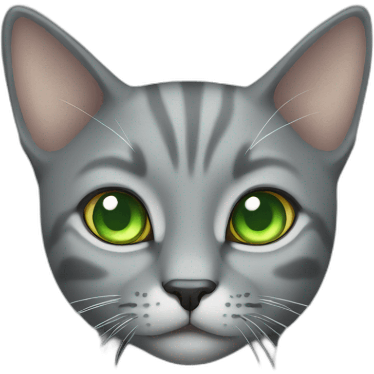 Grey skinny cat with light green eyes  emoji