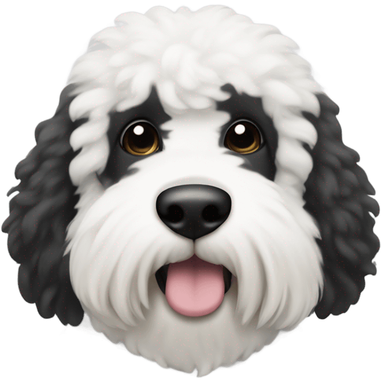 @oatmealthesheepadoodle from Instagram the coloring around his left eye is black and the coloring around his right eye is white  emoji