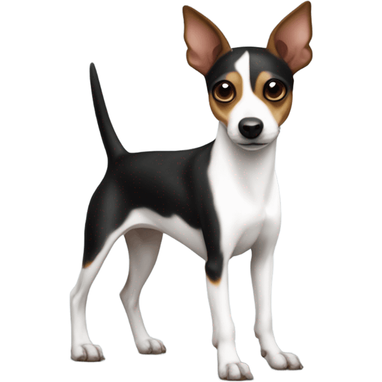 dog rat terrier  emoji