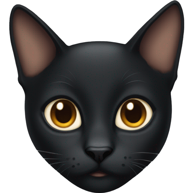 black cat with brown eyes  emoji