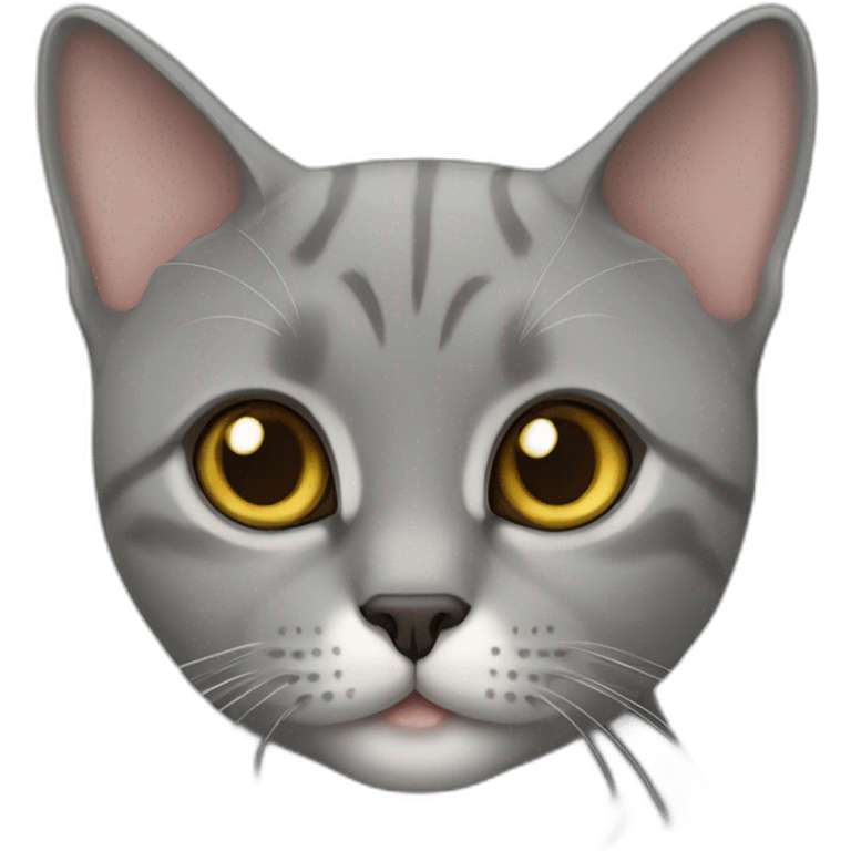 British short hair cat emoji