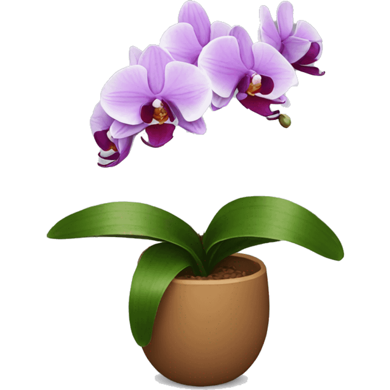 Orchid emoji