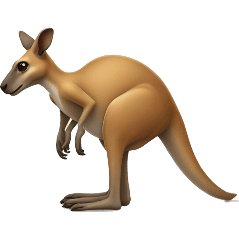 Kangaroo and walking  emoji