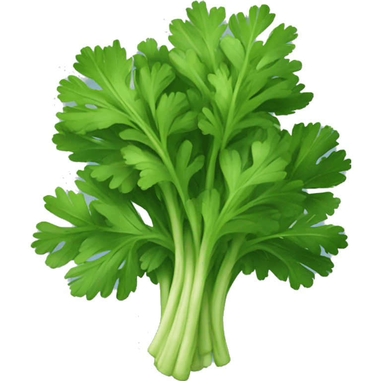 Parsley  emoji