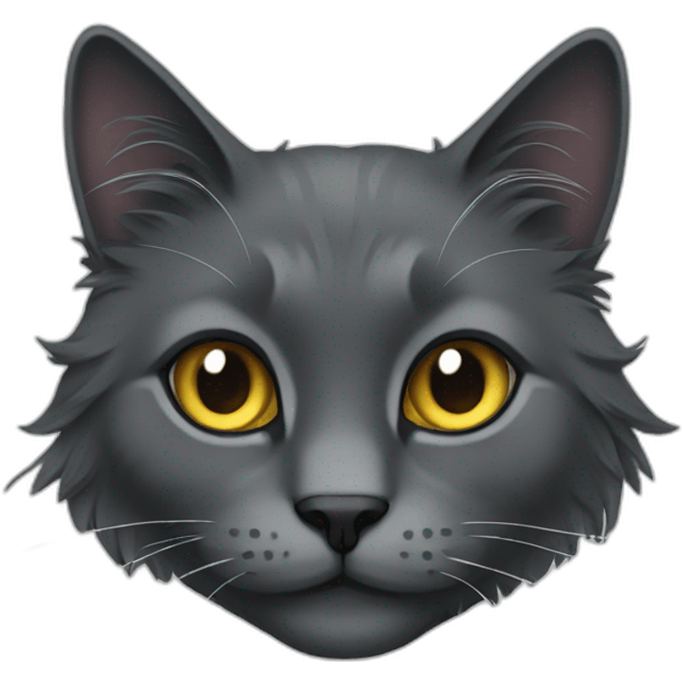 charcoal colored long haired cat emoji