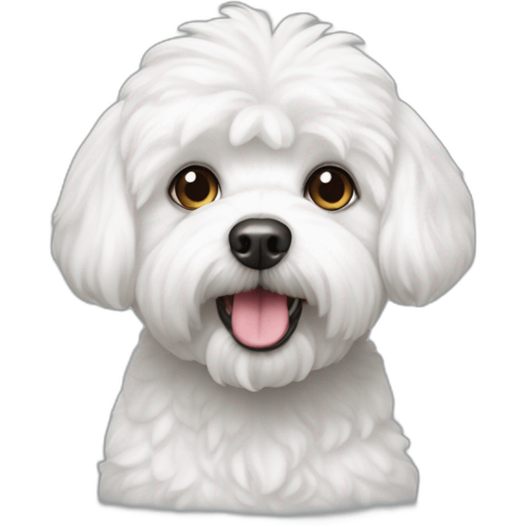 Bichon maltais emoji