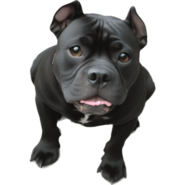 Solid Black American Bully with floppy ears emoji