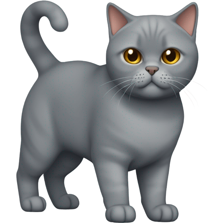 british shorthair emoji