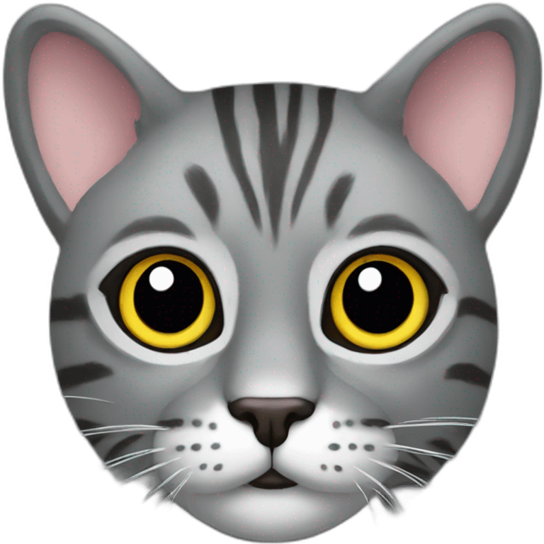 Mog emoji