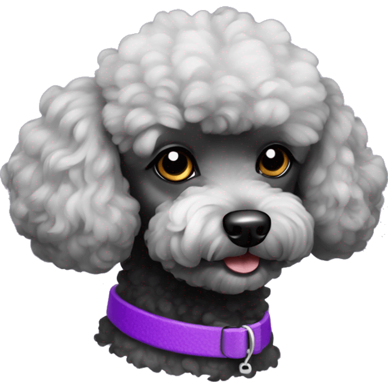 black toy poodle purple collar emoji