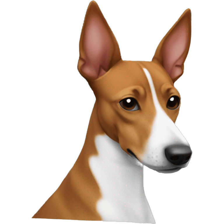 basenji in car emoji