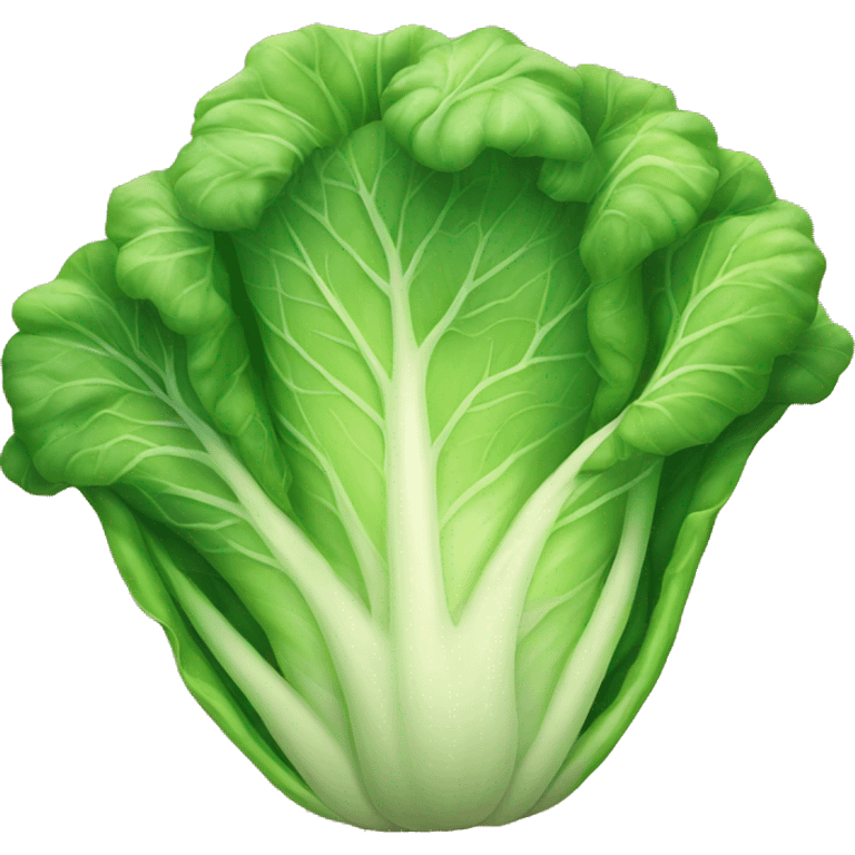 Cabbage emoji