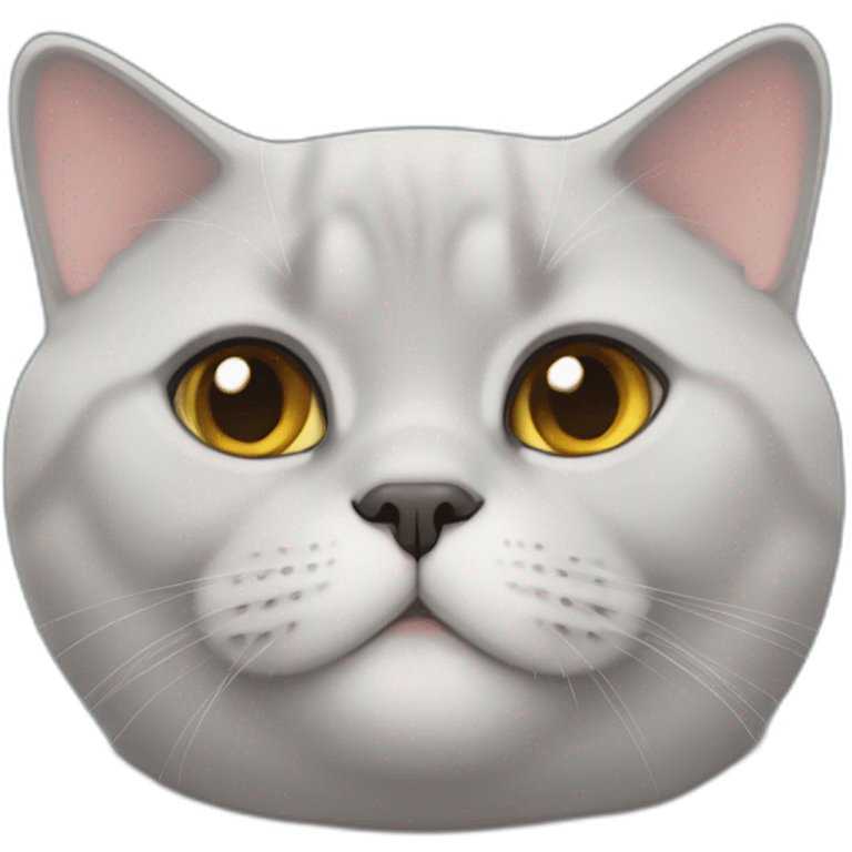 british shorthair emoji