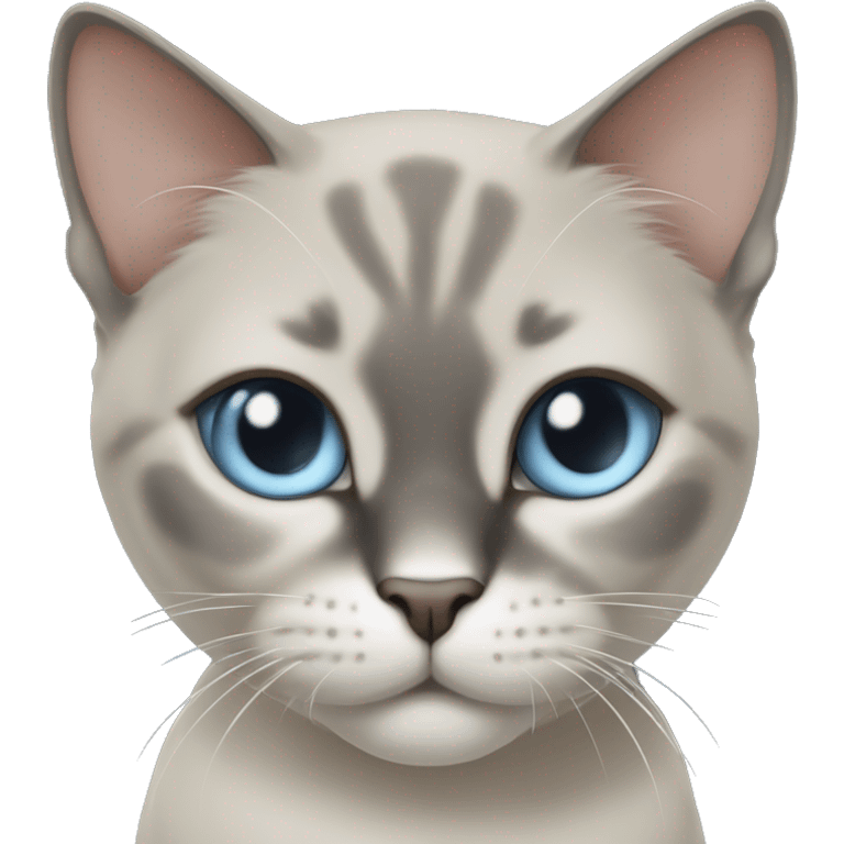 Thai breed cat with a  cream body, dark gray face, ears, and paws. Short fur, sharp ears, and striking light blue eyes with an intense gaze. emoji