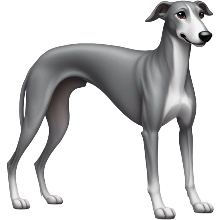 Greyhound  emoji