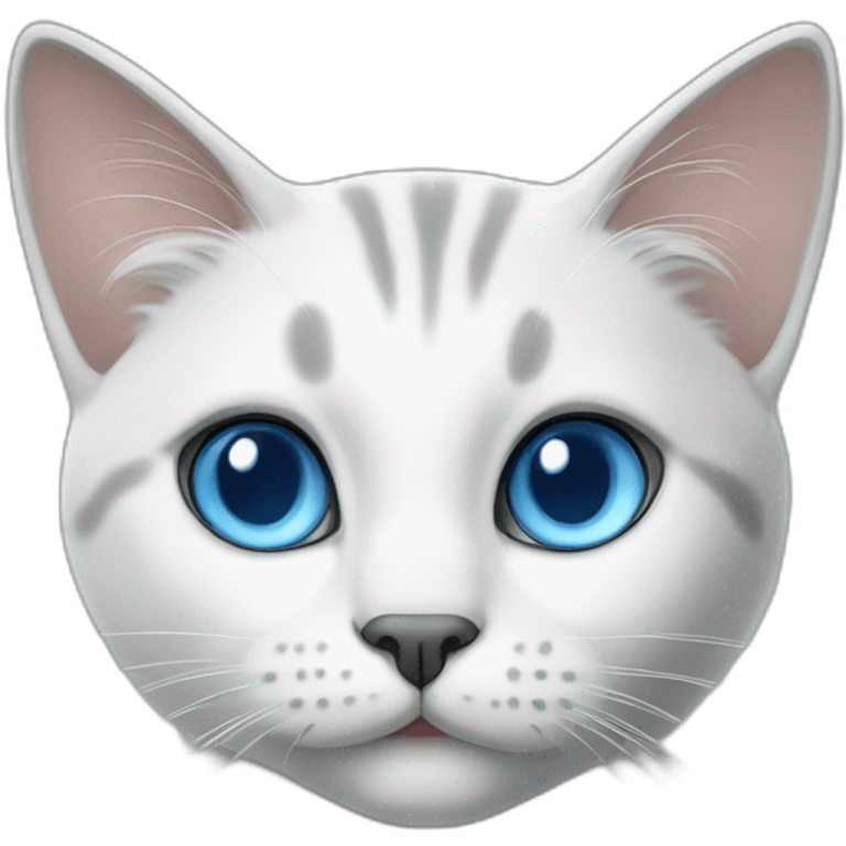 white and grey cat with blue eyes siamease emoji