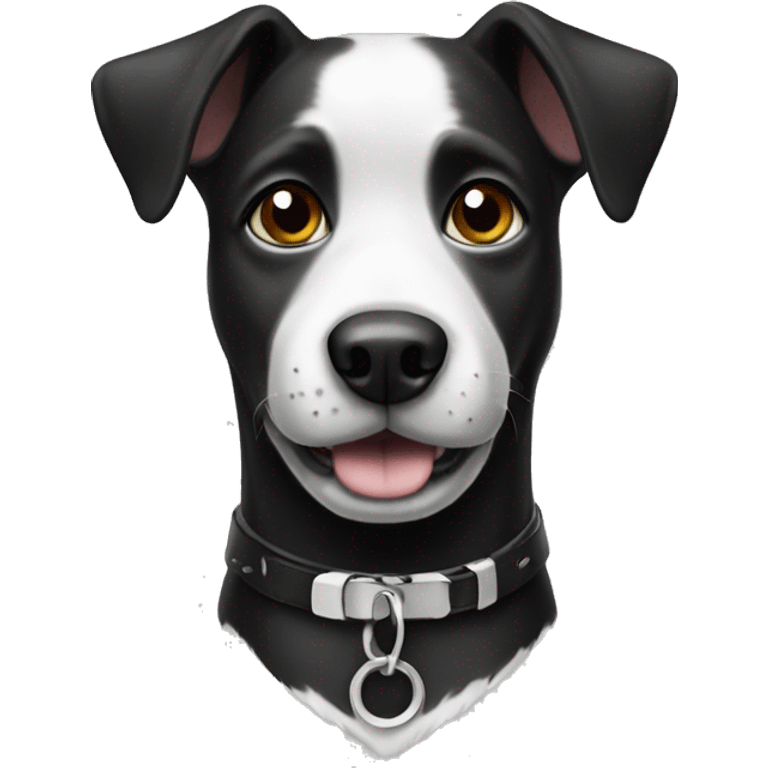 Black and white dog wearing a black collar emoji