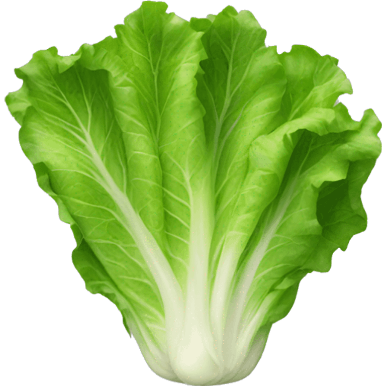 Lettuce emoji