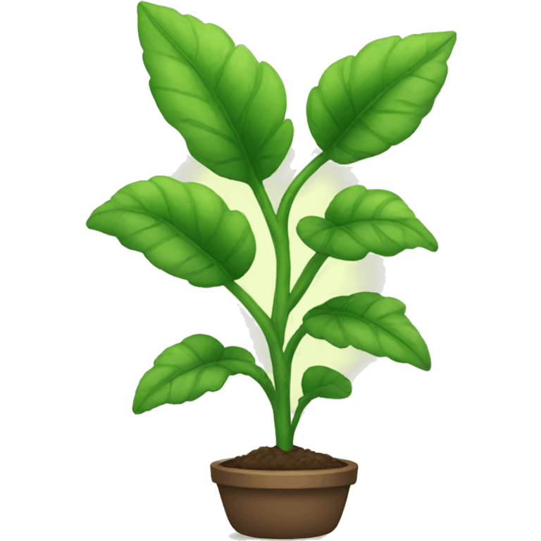 Plant emoji