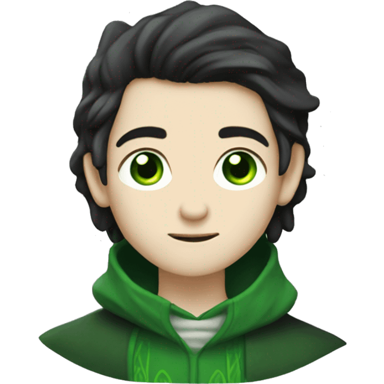 teenage white-skinned wizard with black hair green eyes in green disgue emoji