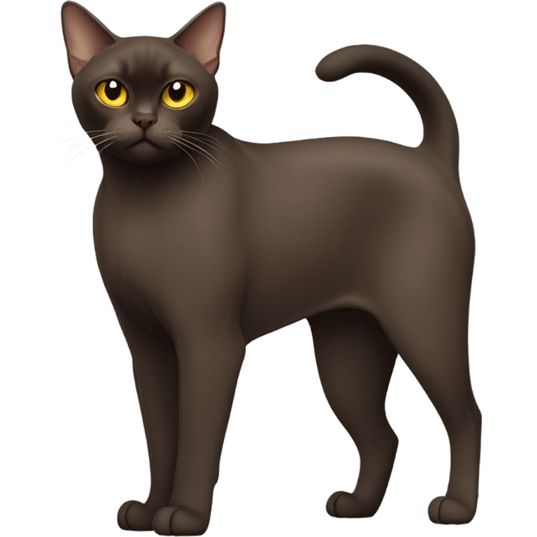 Burmese cat emoji