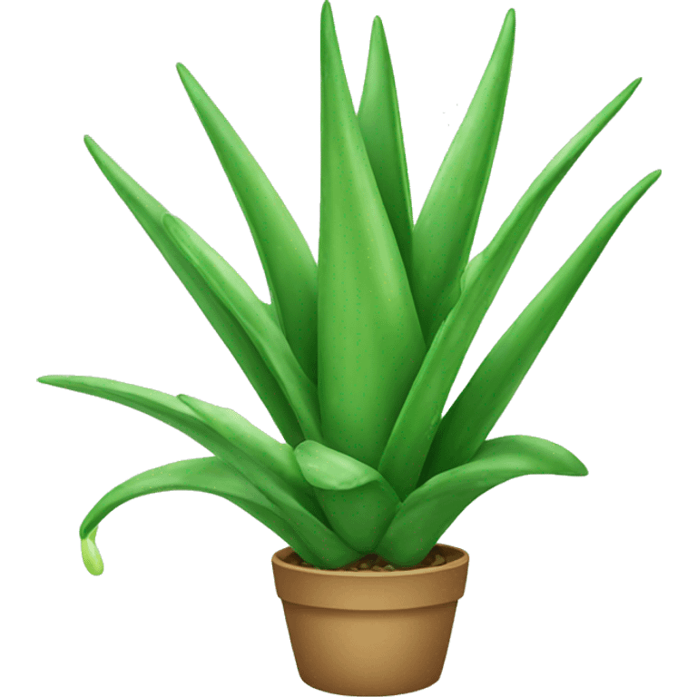 Aloe vera emoji