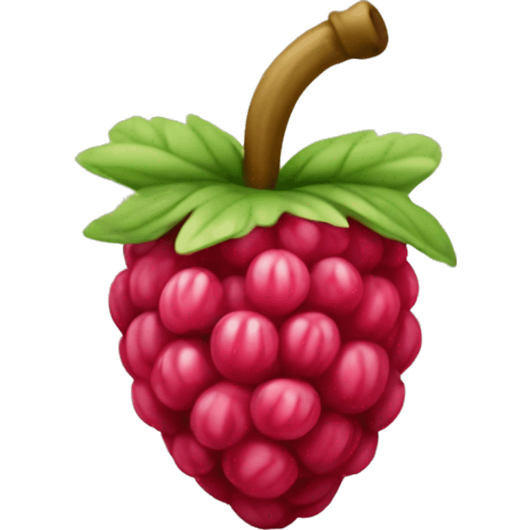 Raspberry  emoji