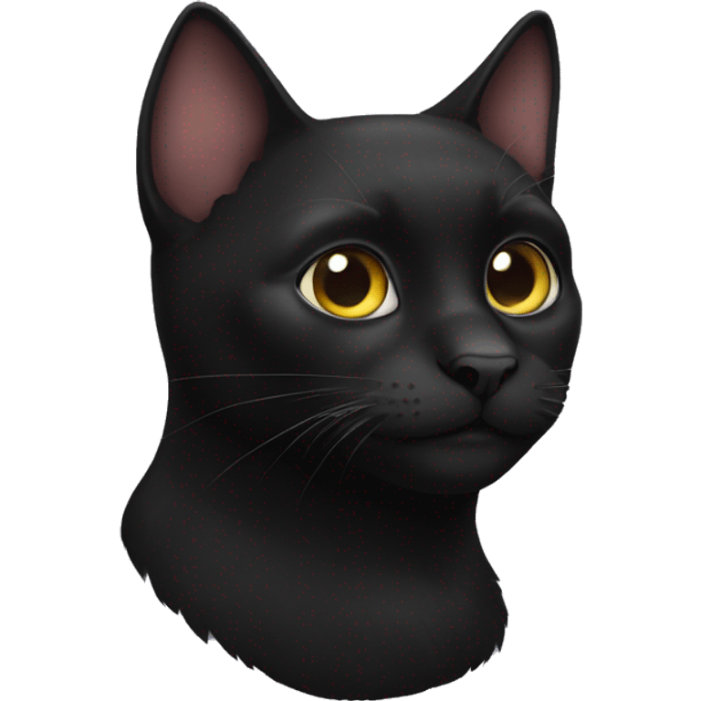 Black cat emoji