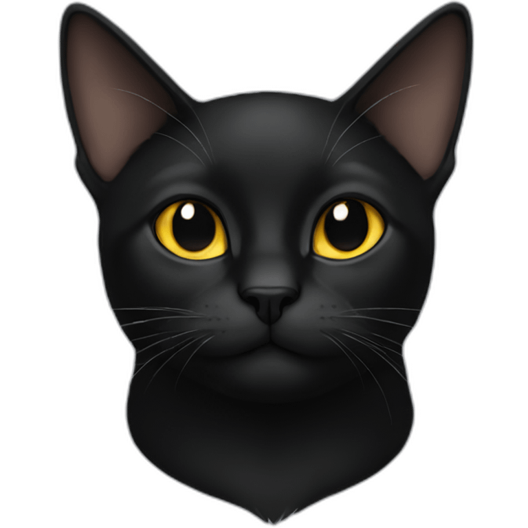 Black cat meme emoji