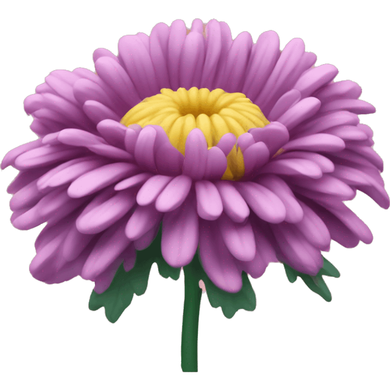 Chrysanthemum  emoji