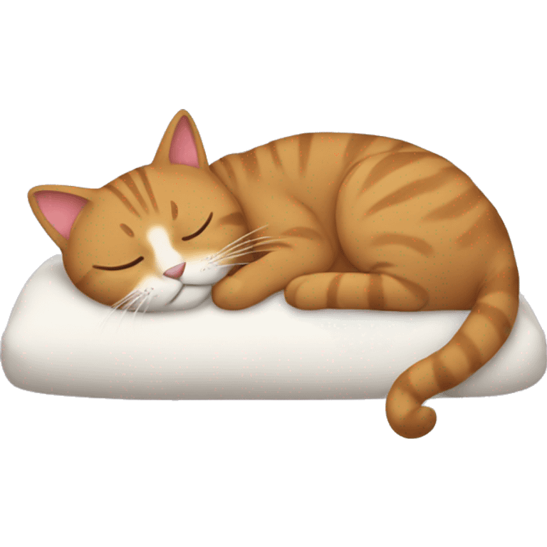 the cat emoji sleeping emoji