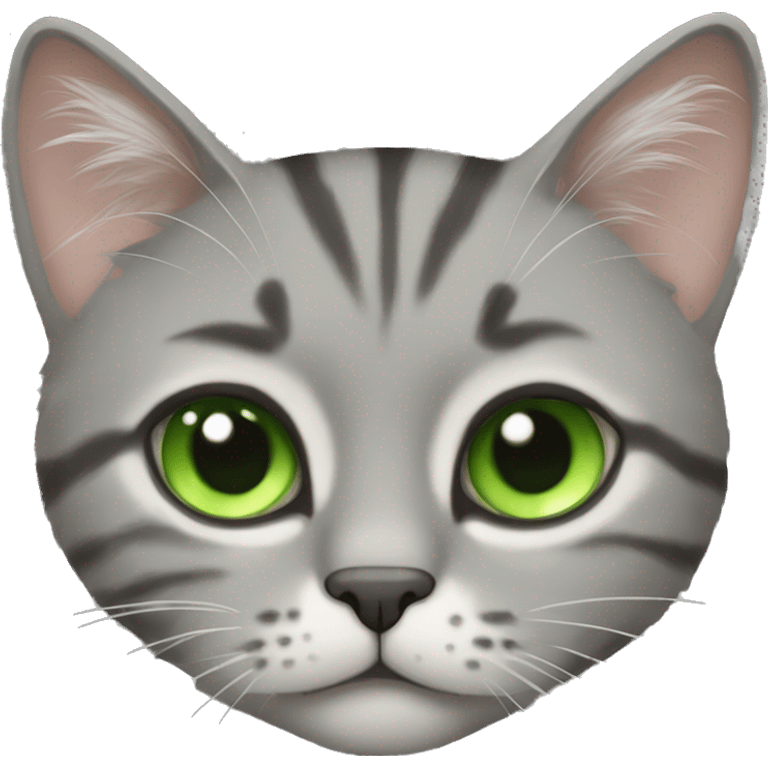 Grey tabby cat fluffy green eyes emoji