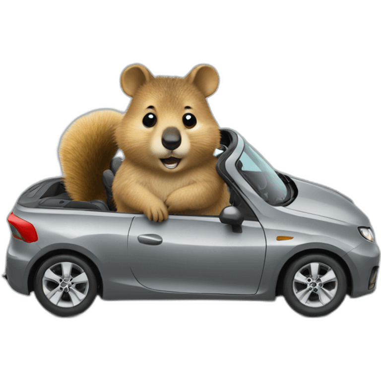 quokka in convertible gray car emoji