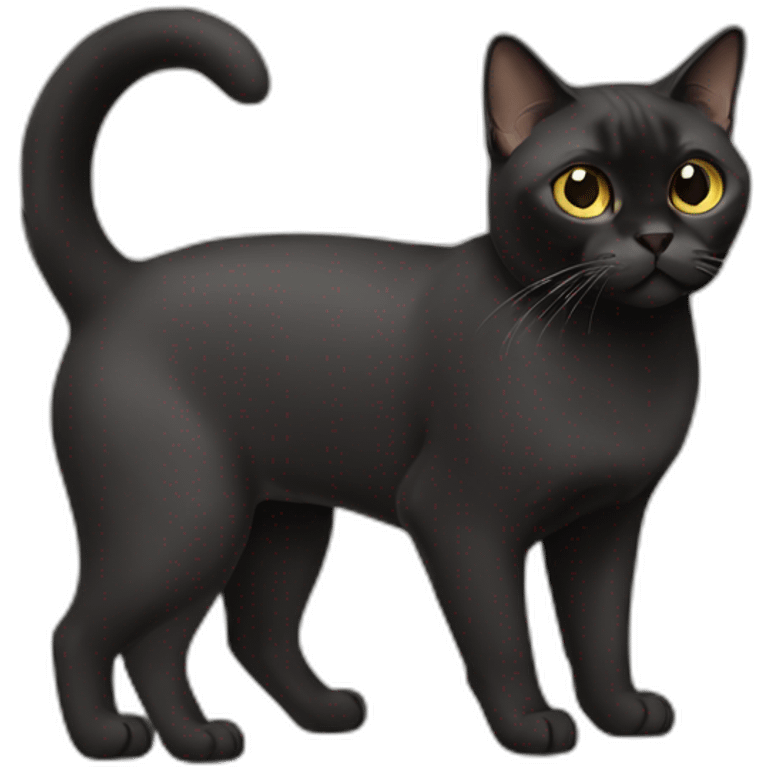 Black Burmese Cat Full Body emoji