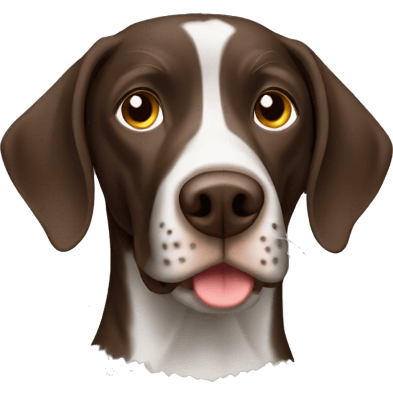 Brown German short haired pointer  with ticking emoji