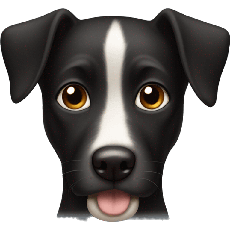 Black dog with brown eyes and white belly emoji