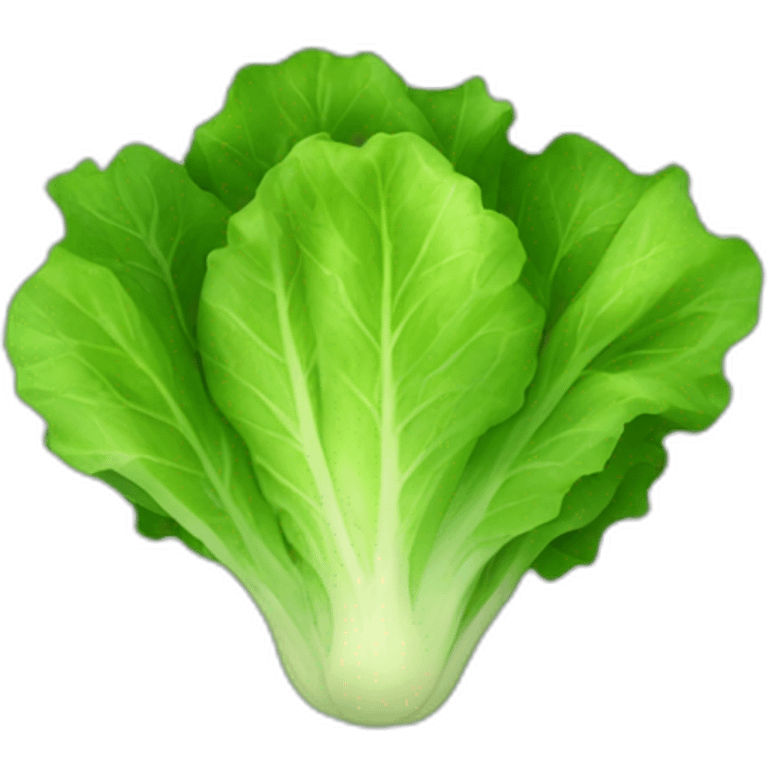 lettuce emoji