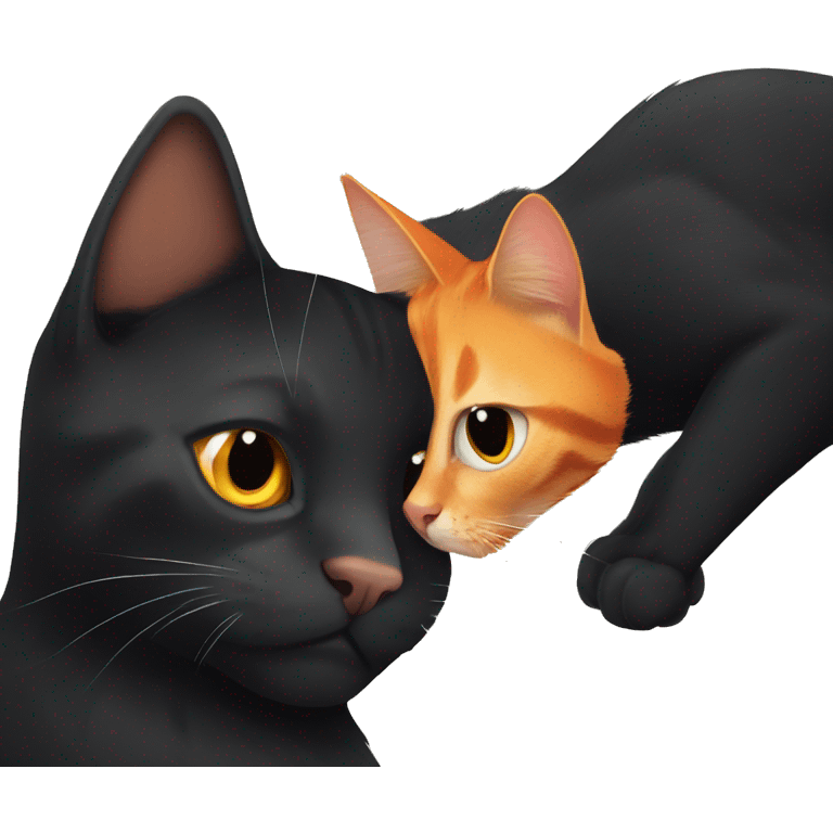 Orange cat and black cat friends emoji