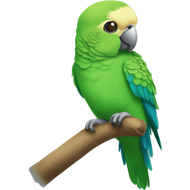 Australian parakeet  emoji