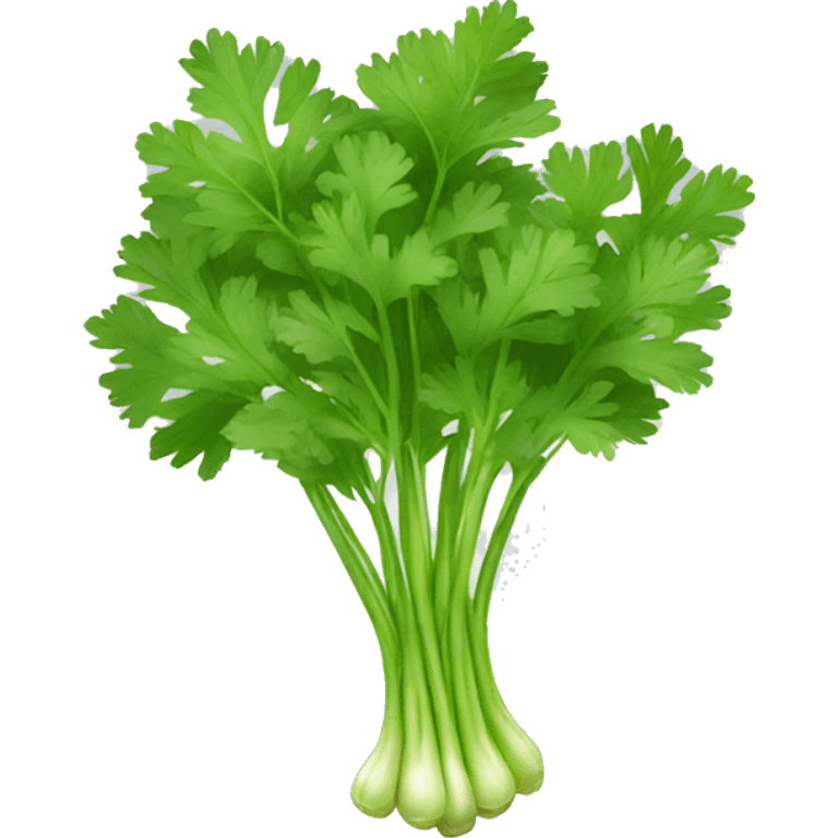 Cilantro emoji