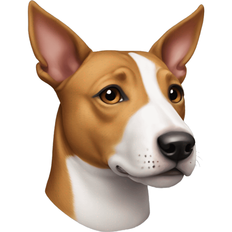 bull terrier basenji mix emoji