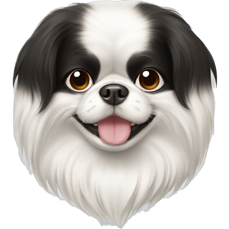 happy japanese chin with white fur on one eye  emoji