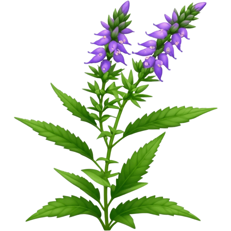 Hyssop plant  emoji