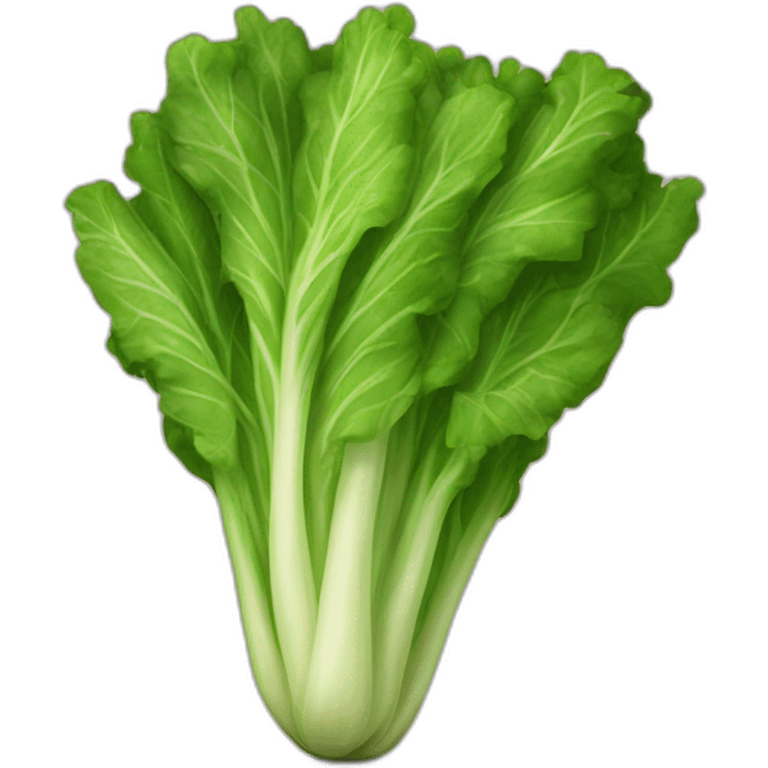 Lechuga emoji