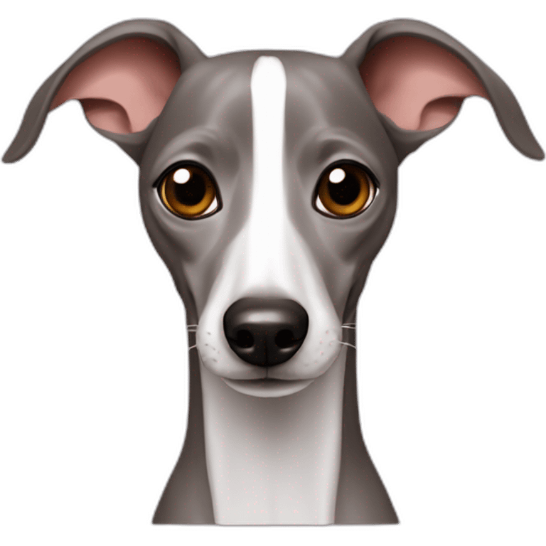 italian greyhound emoji